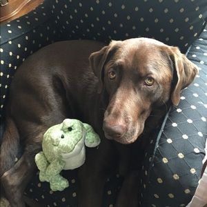 Meet your Posher, Erin